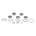 All Balls Racing Jet Pump Rebuild Kit (14-3015)
