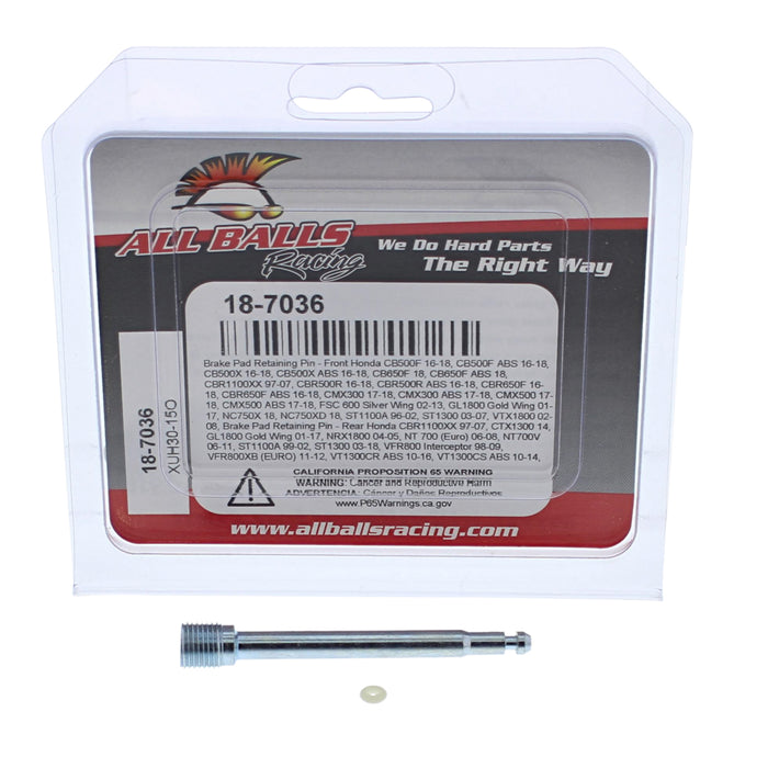 All Balls Racing Brake Pin Kit (18-7036)