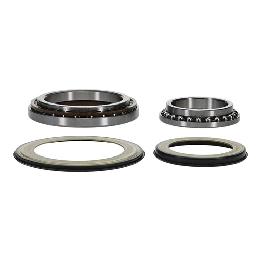 Steering Head Bearing & Seal Kit 22-1079