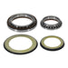 Steering Head Bearing & Seal Kit 22-1079