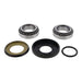Steering Bearing and Seal Kit 22-1081
