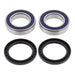 All Balls Racing Wheel Bearing Kit (25-1132)