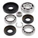 Differential Bearing & Seal Kit Front - 25-2016