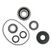 Differential Bearing & Seal Kit Front - 25-2075
