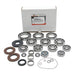Transaxle Bearing & Seal Kit 25-2113