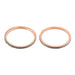 Exhaust Gasket Kit 823010