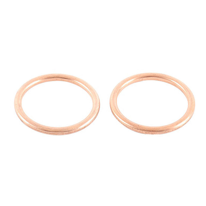 Exhaust Gasket Kit 823018