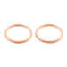 Exhaust Gasket Kit 823048