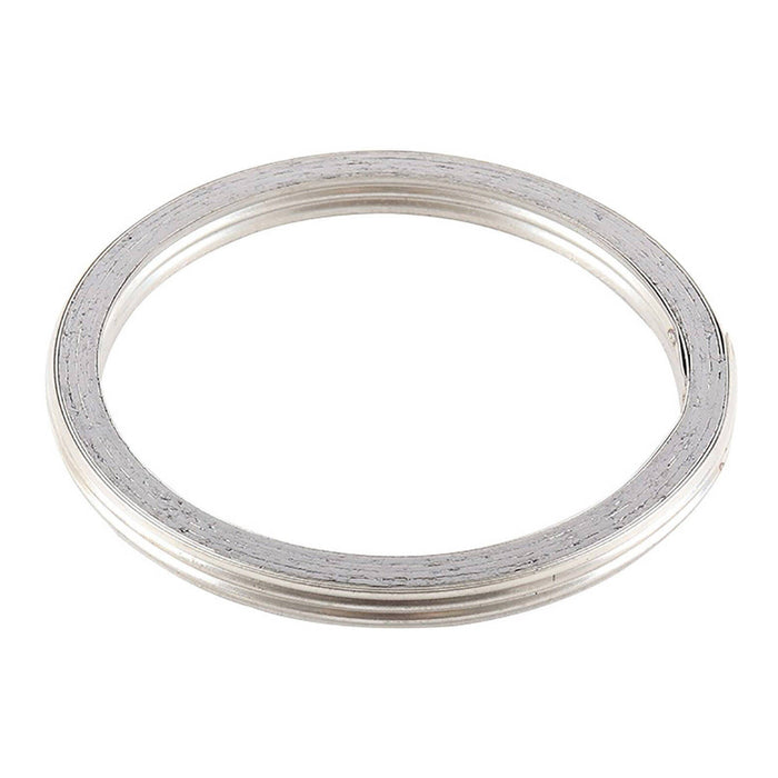 Exhaust Gasket Kit 823086