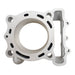 Cylinder CW30016