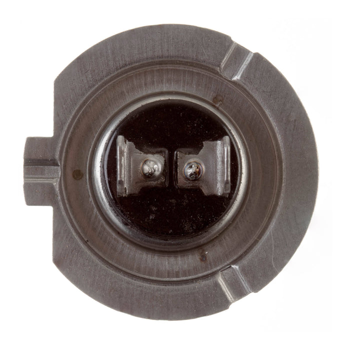 Globe 12V 55w H/L H7 Halogen (ea)