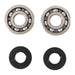 Main Bearing and Seal Kit
