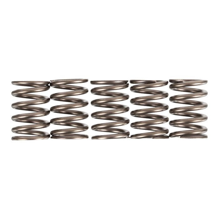 Premier Clutch Springs - Heavy Duty
