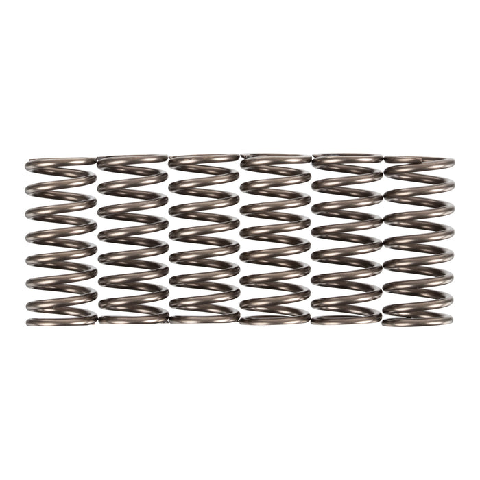 Premier Clutch Springs - Heavy Duty