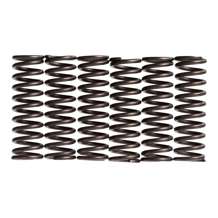 Premier Clutch Springs - Heavy Duty