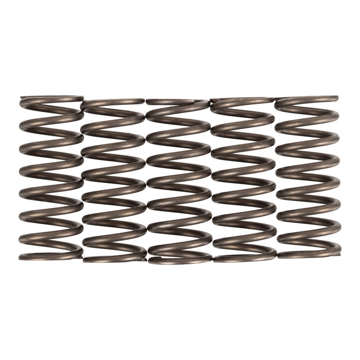 Premier Clutch Springs - Heavy Duty