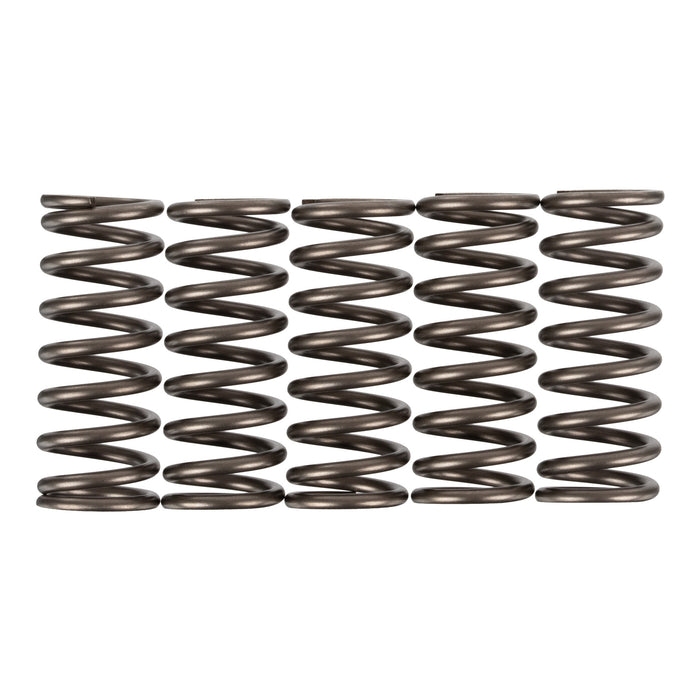 Premier Clutch Springs - Heavy Duty