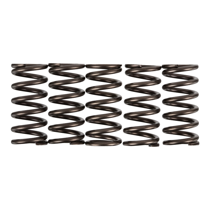 Premier Clutch Springs - Heavy Duty
