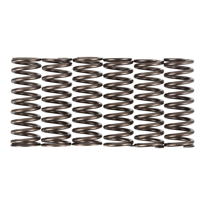 Premier Clutch Springs - Heavy Duty