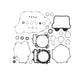 Vertex Complete Gasket Set with Oil Seals (8110011)