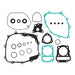Complete Gasket Set with Oil Seals 8110043