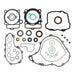 Complete Gasket Set with Oil Seals 8110044