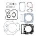 Complete Gasket Set with Oil Seals - VER8110051