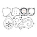 COMPLETE GASKET SET WITH OIL SEALS 8110053