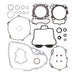 Complete Gasket Set with Oil Seals 8110061
