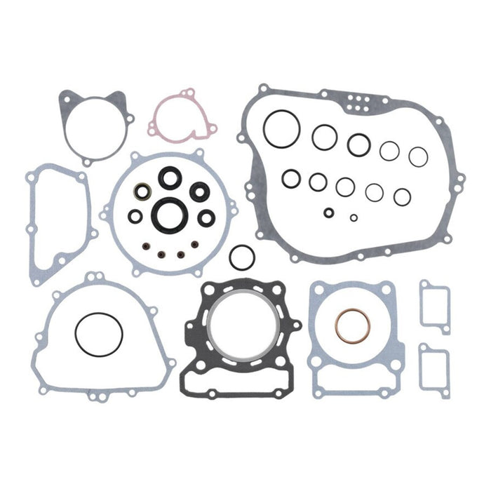 Complete Gasket Set with Oil Seals 8110071