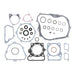 Complete Gasket Set with Oil Seals 8110071
