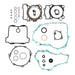Complete Gasket Set with Oil Seals 811691