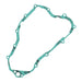 Inner Clutch Side Cover Gasket Kit 817248