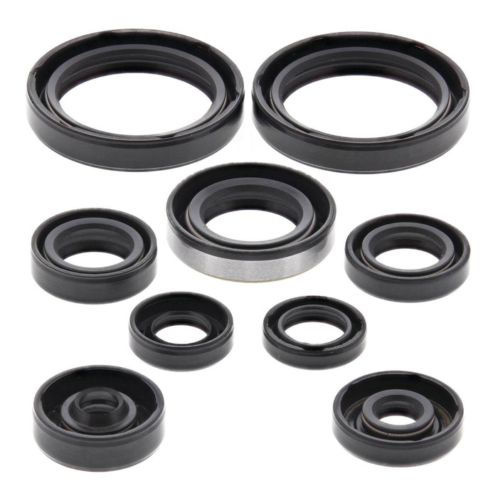 Oil Seal Kit 822316