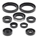 Oil Seal Kit 822316