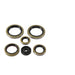 Oil Seal Kit 822370