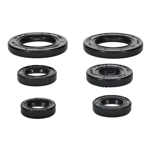 Oil Seal Kit 822391