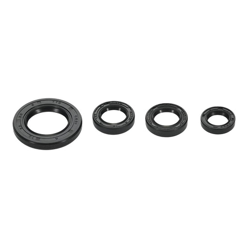 Oil Seal Kit 822395