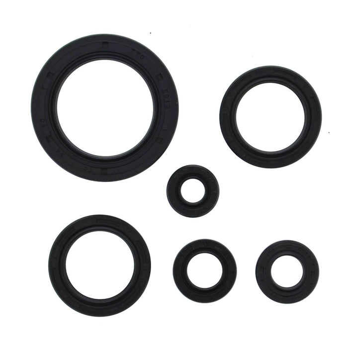 Oil Seal Kit 822978