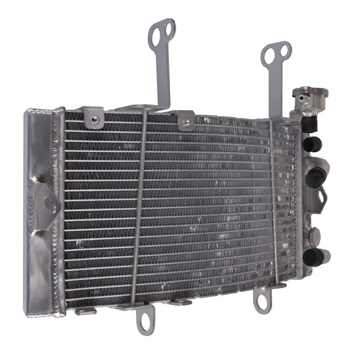 Whites Radiator - KTM / Husqvarna 450 Rally / FR450 Rally '19-'22