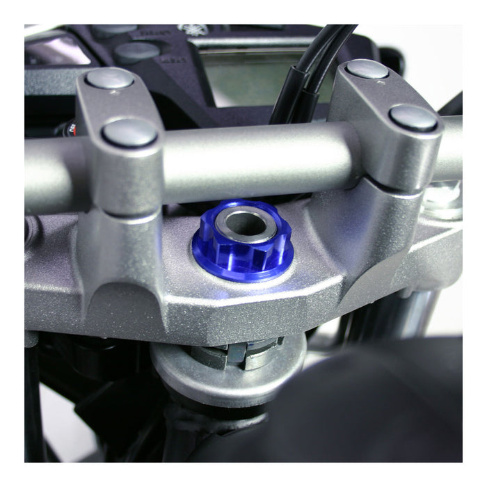 Zeta Stem Nut M24 x 32 P1.0 H12 - Blue
